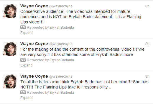 wayne flaming lips director